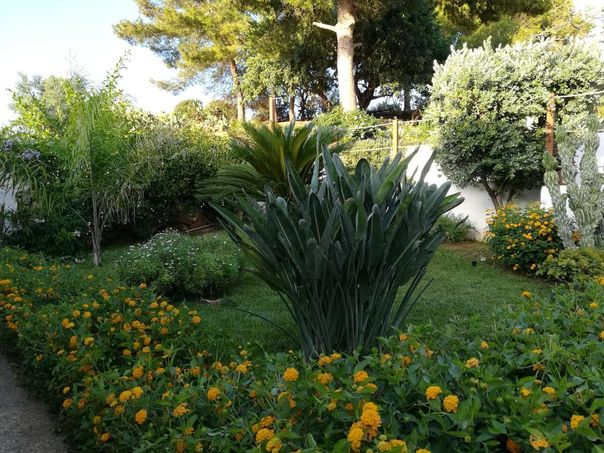 Bianco Sale Trapani Bed & Breakfast Rilievo Exterior photo